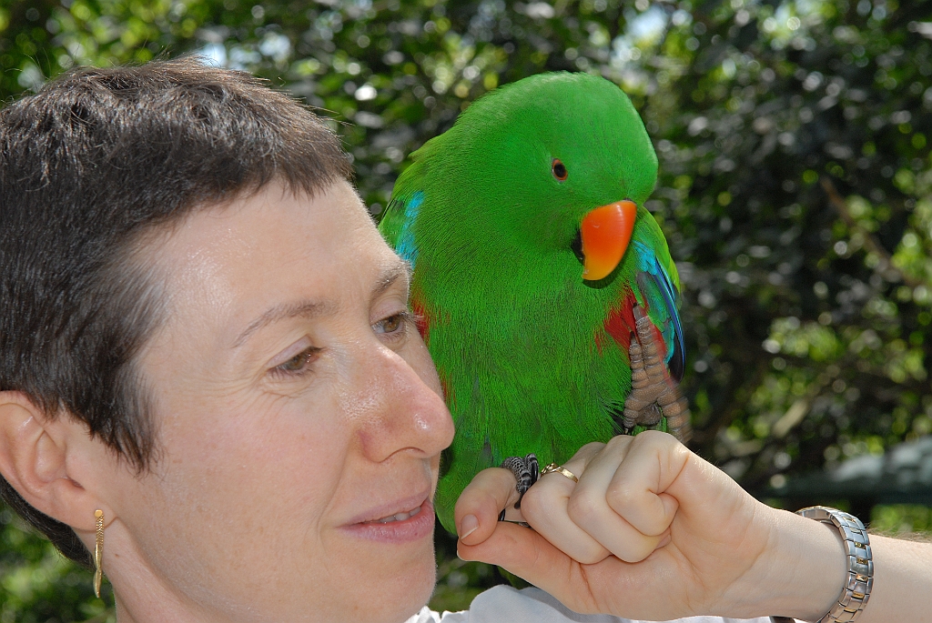 0708 Birdworld Kuranda.jpg